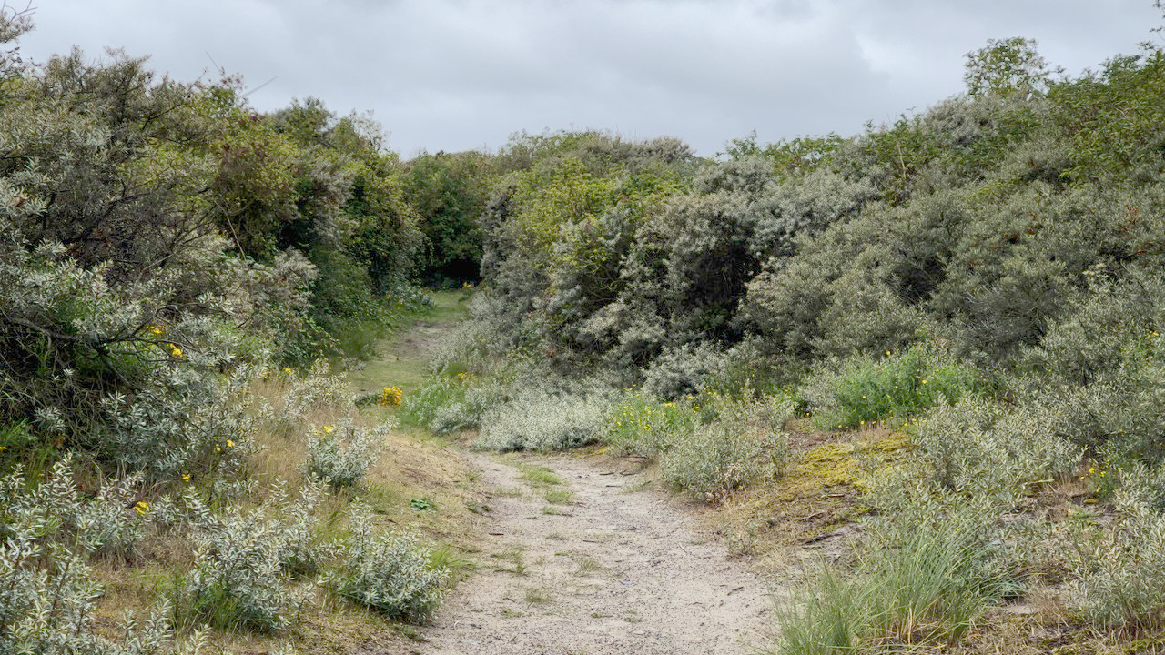 Het ruigste stukje Zeeland? Het zou zomaar kunnen, een parel is het