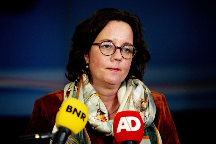 Minister Tamara van Ark