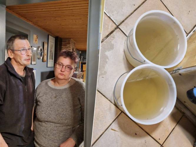 “Onze honden drinken van de plassen op de vloer”: 
villa van Daniel (62) en Gerarda (54) in Schilde staat al dikke maand onder water
