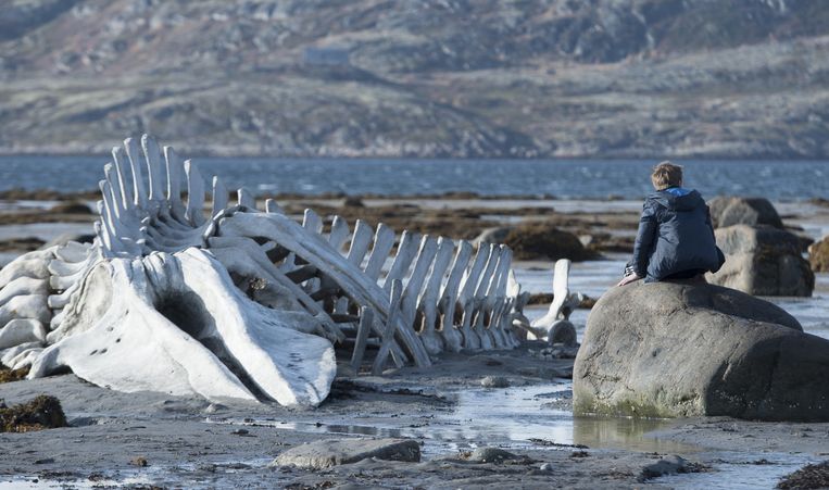 Een fragment uit Leviathan, de film van Andrej Zvyagintsev. Beeld Lumiere