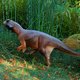 Wetenschappers achterhalen kleur kleine bosdinosaurus