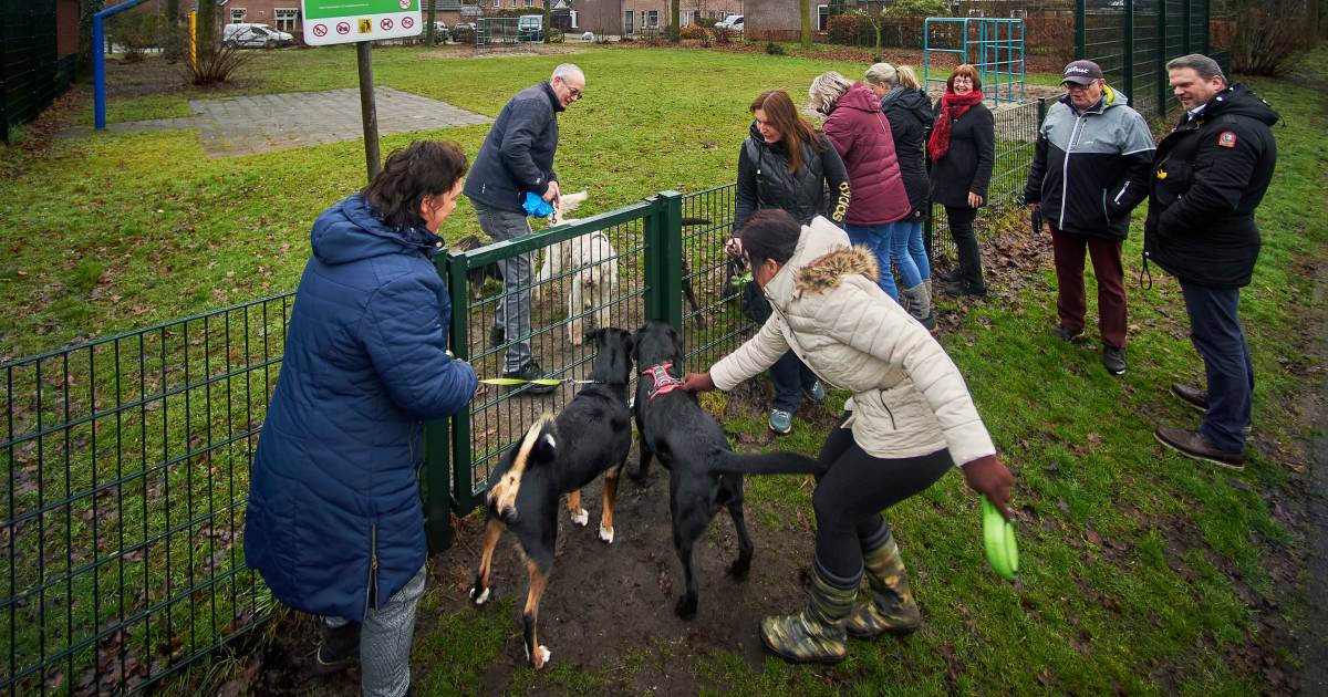 Boete van 150 euro dreigt voor Boekelse baasjes die hun hond loslaten op speelterreintje
