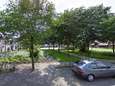 Twee jongetjes in Zwols park gedwongen tot onzedelijke handelingen