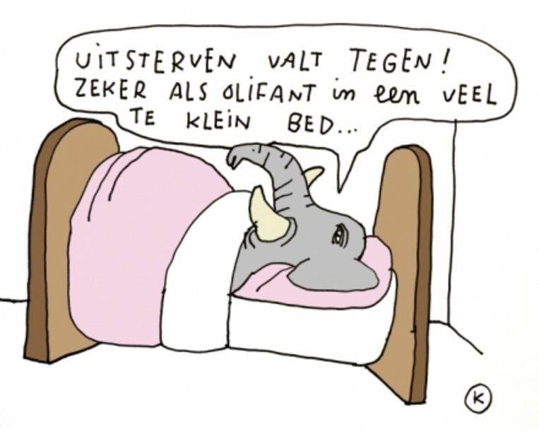 null Beeld 