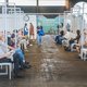 Vaccinatiecentra minder open en nieuwe regels voor oldtimers: dit verandert er allemaal op 1 november