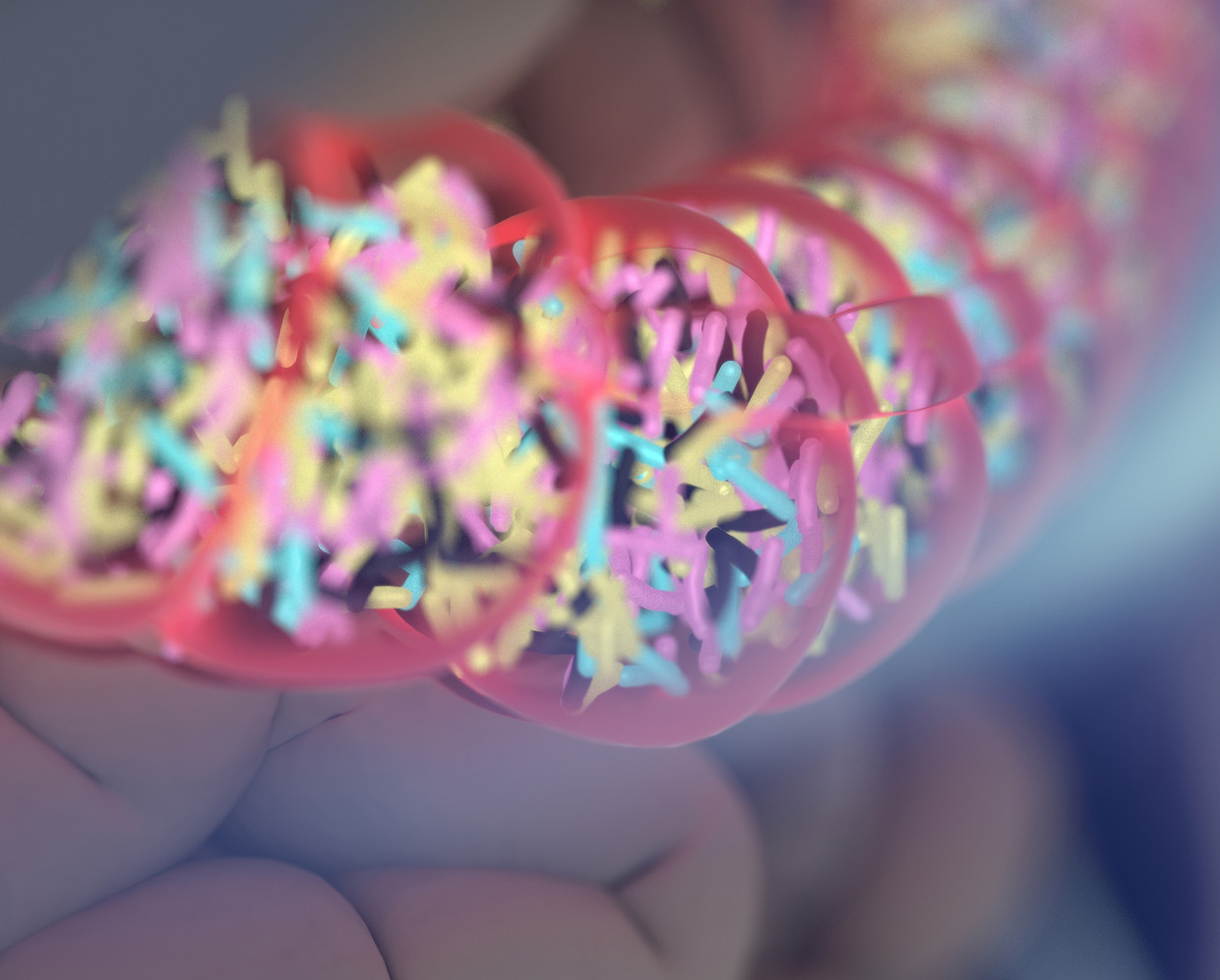 Hoe meer bacteriën, hoe gezonder de