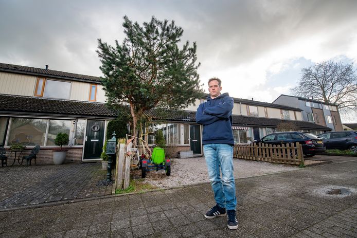 Bewoner Hans van der Vliet, zelf boomverzorger, heeft een conflict met woningbouwvereniging de Woonmensen omdat de kleine grove den in zijn voortuin weg moet.