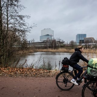 Paroollezers over draai D66 met erotisch centrum: ‘Eindelijk wat zin in dit onzindossier’