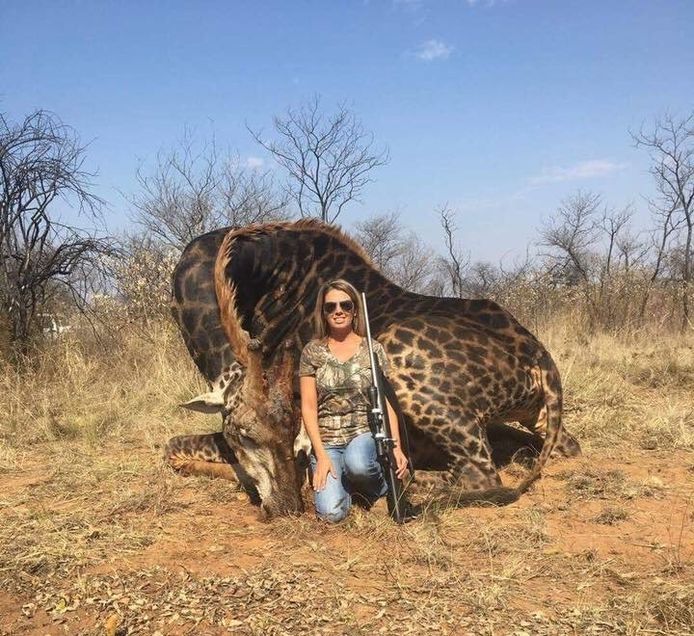 De vrouw poseert trots voor de dode giraf.