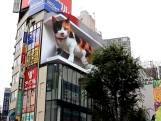 Gigantische kat houdt inwoners Tokio in de gaten