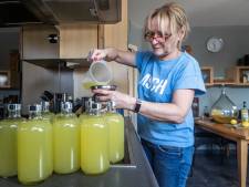 De beste limoncello van de wereld komt uit Ital...nee,  De Mortel