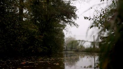 4. Wild van Dieren - 4