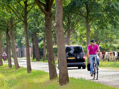 ‘Paardenburen’ in Nederwetten krijgen hun zin niet: woningbouw toegestaan aan Soeterbeekseweg