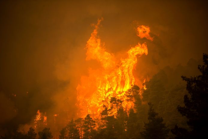 Een zware brand bedreigt vanmorgen het dorp Gouves op het eiland Evia, het tweede grootste Griekse eiland, ten noorden van Athene.