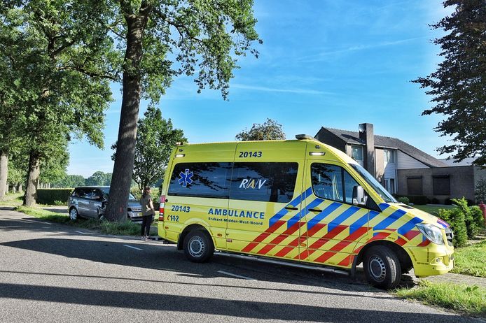 Range Rover botst tegen boom in Oisterwijk.