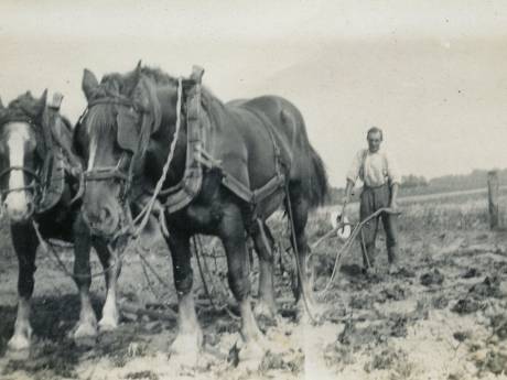 Zonder pardon werden duizenden eilanders in de winter van ’44 door de Duitsers hun huis uitgejaagd