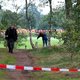 Lichaam Hagenaar gevonden in bossen Bergeijk