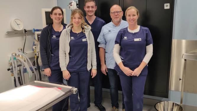 Oudenburgse dierenkliniek internationaal bekroond voor patiëntveiligheid: “Dankzij onze nieuwe operatiefiche is fouten maken bijna onmogelijk”