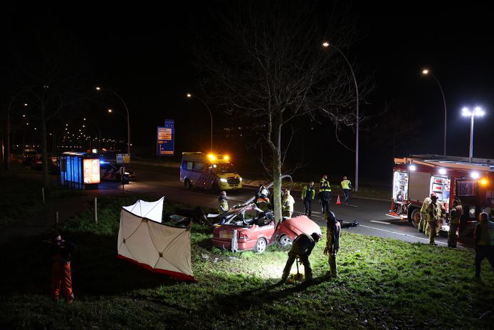 Veel hulpdiensten kwamen ter plaatse na het ongeluk op de Hasselterweg, aan de rand van de Zwolse wijk Stadshagen.