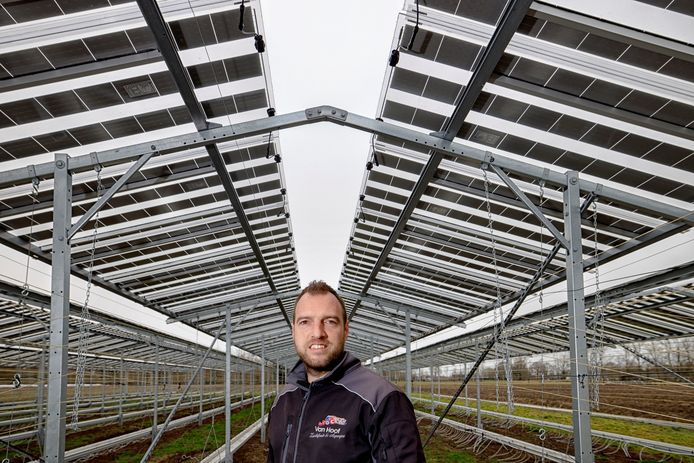 Fruitteler Maarten van Hoof kreeg groen licht voor zijn bouwplan aan de Pastoor Smitsstraat in Olland.