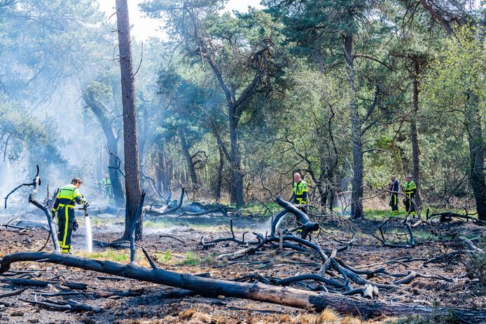 Brand in bossen bij Tilburg