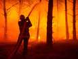 Piek bosbrandseizoen nadert: mogelijk 80 branden per week in augustus
