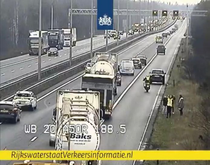 File tussen Arnhem en Apeldoorn, vlak bij Hoenderloo.