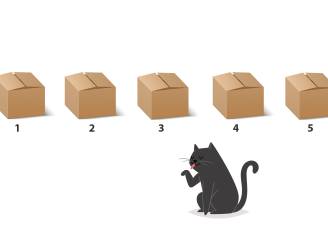 Los jij onze maandagpuzzel op? In welke doos zit de kat?