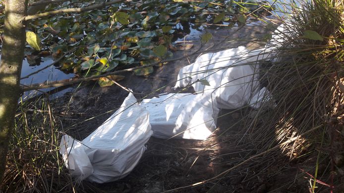 Vorig jaar werden ook al zakken asbest gedumpt aan de rand van een vijver in park Meerland