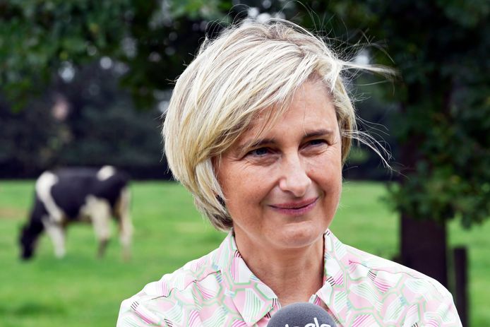 Vlaams viceminister-president Hilde Crevits (CD&V).