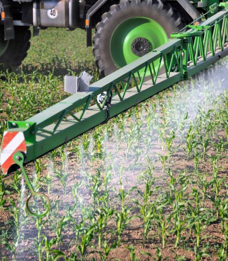 La Belgique n°1 à l'exportation d'un pesticide interdit en Europe
