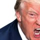 Donald Trump & zijn biograaf: 'Hij gelooft dat hij president móét worden, omdat hij genetisch superieur is'