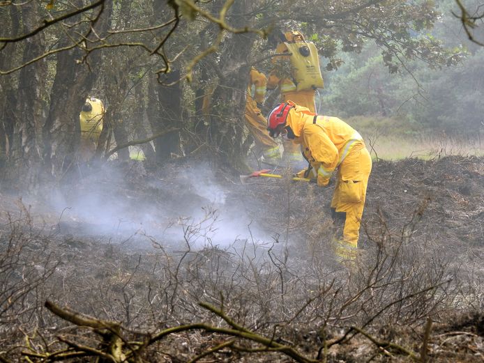 Leden van de Handcrew Overijssel zijn sinds maandagavond bezig met de bestrijding van een grote natuurbrand in de Deurnese Peel.
