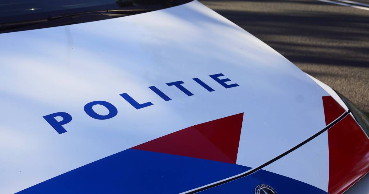 Dodelijk ongeval in Werkendam: man botst met auto tegen een boom.