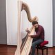 Remy van Kesteren liet in Noord-Italië de grootste harp ter wereld bouwen