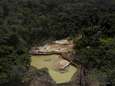 Brazilië trekt mijnvergunning voor Amazonewoud in