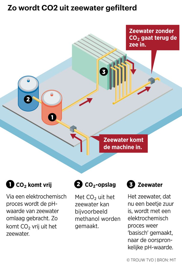 null Beeld Thijs van Dalen