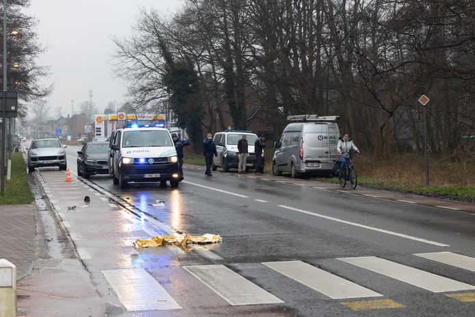 Het accident gebeurde op de Koolmijnlaan in Beverlo.