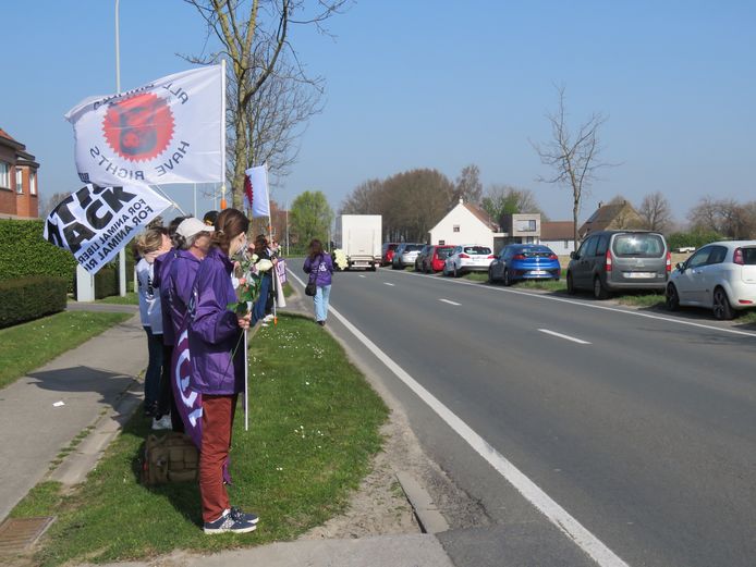 Protestactie  aan Tielts slachthuis