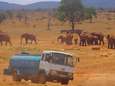 Elke dag rijdt Patrick urenlang om de dorstige dieren van Kenia water te geven