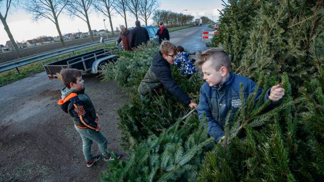 Wie helpt met de kerstbomen in Altena?