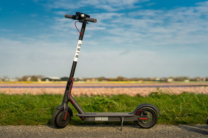 Een deel-step van Bird