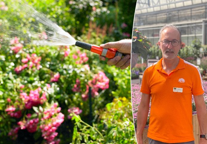 Wim Trio van tuincentrum Floralux vertelt hoe je planten in pot, in volle grond of in de serre beschermt tegen de verzengende zon.