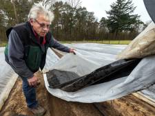 Asperges steken kop nog niet op door kou en regen: in Elten al wel ‘spargel’
