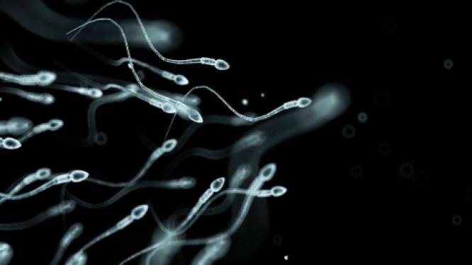 “Mens is bedreigde diersoort”: dalende spermakwaliteit bedreigt ons voortbestaan, zegt Amerikaans wetenschapper. Maar is dat ook zo?
