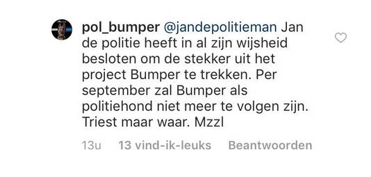 ‘Per september zal Bumper als politiehond niet meer te volgen zijn.’
