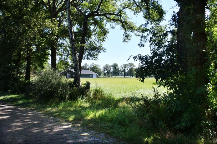 De in- en uitrit aan de Ossendijk 13 in Geesteren die de eigenaar moet verwijderen.