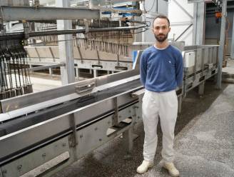 Slachthuis draait weer, voorlopig op 50 percent van totale capaciteit