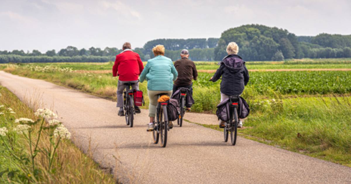 Wolf in schaapskleren Diversen Gebeurt PROMOJAGERS SUPERTIP. Toe aan een nieuwe elektrische fiets? Hier krijg je  tot 200 euro korting in ruil voor oude fiets | Geld | hln.be