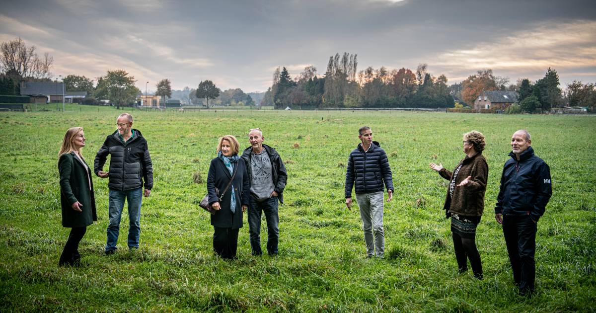 Stellen bouwen ecologisch wijkje in Alverna: ‘Er is ruimte voor onenigheid, daarna altijd weer samen